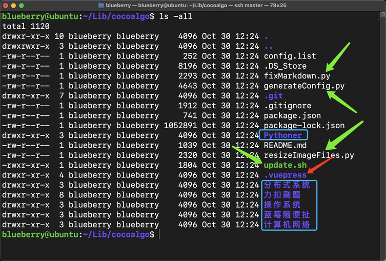 image-20241030202636421